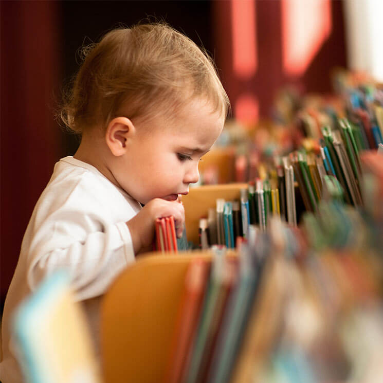 ¿Qué libros recomiendan para niños?