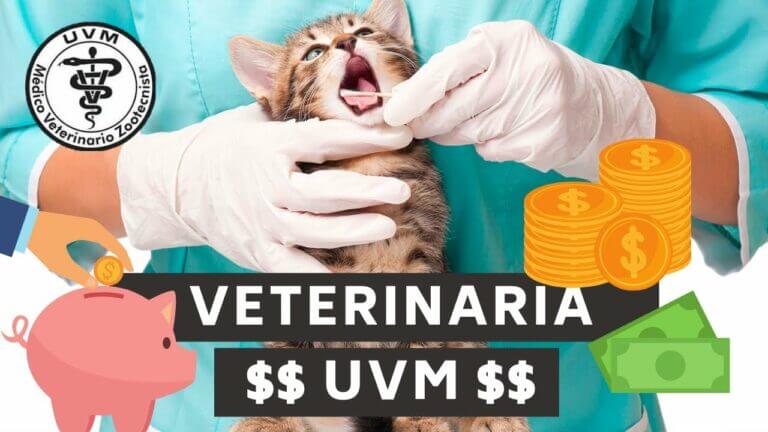 Cuanto cuesta la carrera de veterinaria